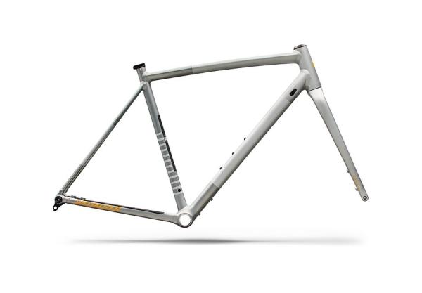 Specialized Crux DSW Frameset - D'Aluisio Smartweld Alloy Shadow Silver/California Sunshine 58