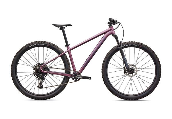 Specialized Rockhopper Expert Satin Quartz Metallic / Mauve Metallic L - 29