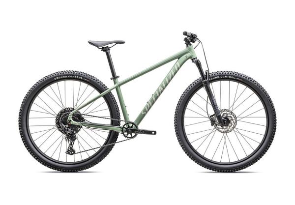 Specialized Rockhopper Comp Gloss Pistachio / White Mountains S - 29