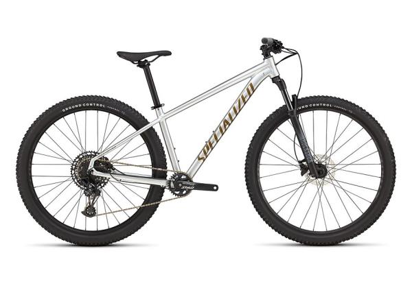 Specialized Rockhopper Expert Gloss Silver Dust / Satin Burnt Gold Metallic L