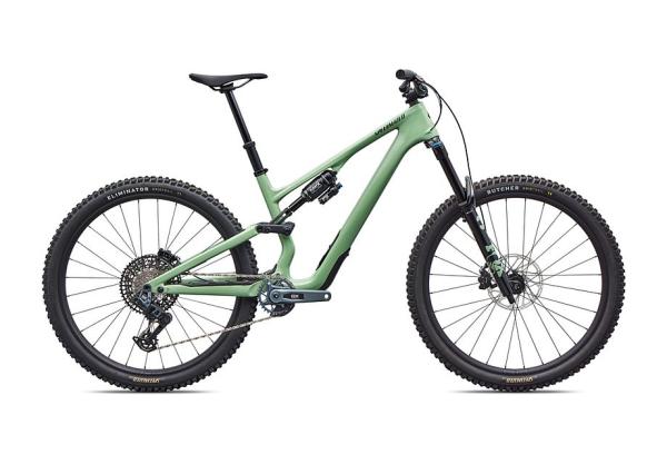 Specialized Stumpjumper 15 EVO Expert  - SRAM GX AXS, FOX Performance Elite GLOSS PISTACHIO / DARK MOSS GREEN S2