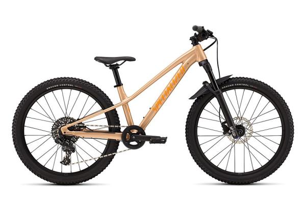 Specialized Riprock Comp 24 Gloss Photon Tint Over Flake Silver / Orange Zest 24